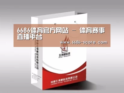 项目名称十三