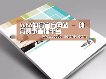 项目名称九