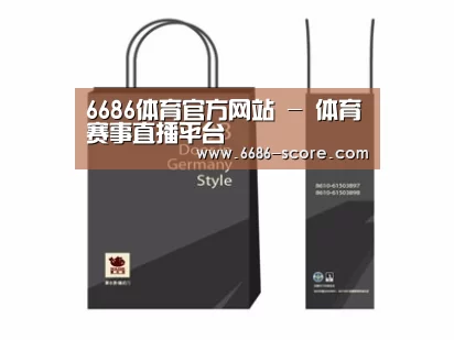 项目名称十四
