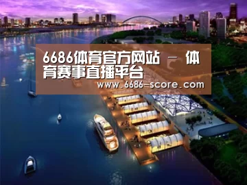 案例展示八
