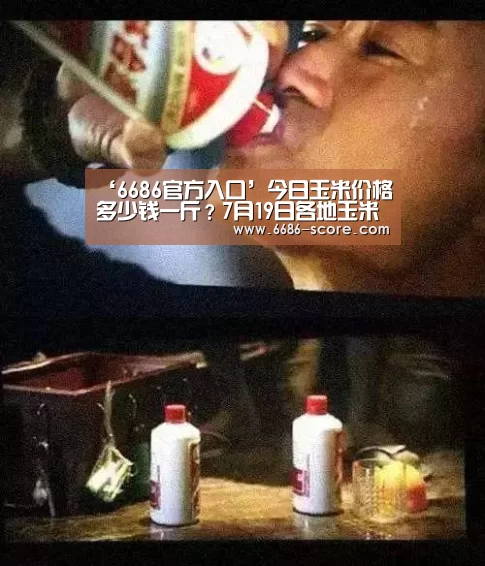 6686篮球竞猜