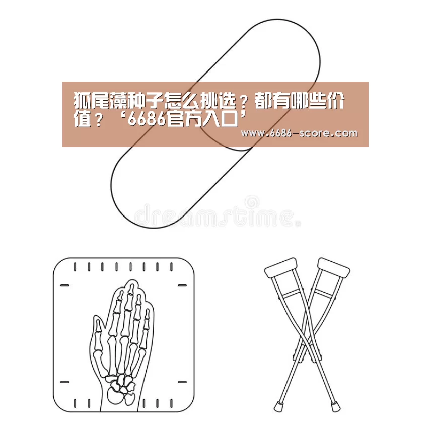 狐尾藻种子怎么挑选?都有哪些价值?‘6686官方入口’(图1) 6686APP下载
