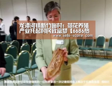 6686篮球竞猜